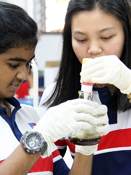 Cambridge visual data 7